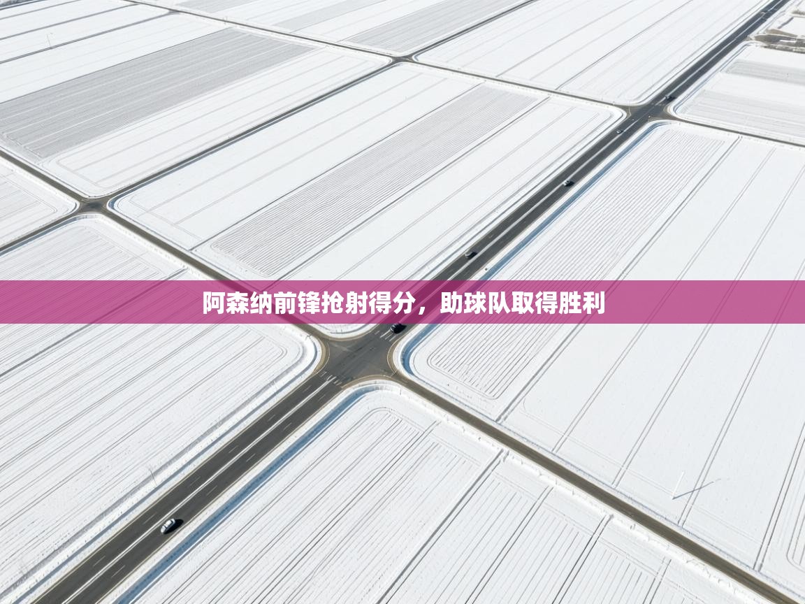 阿森纳前锋抢射得分,助球队取得胜利 第2张