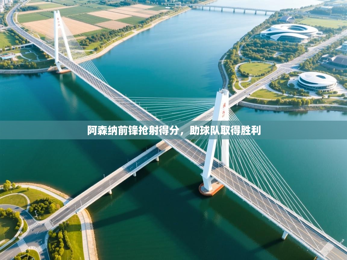 阿森纳前锋抢射得分,助球队取得胜利 第1张