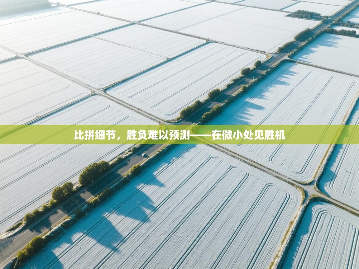 比拼细节，胜负难以预测——在微小处见胜机  第2张