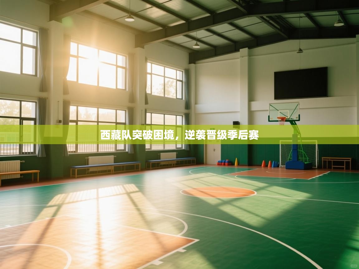 西藏队突破困境，逆袭晋级季后赛  第2张