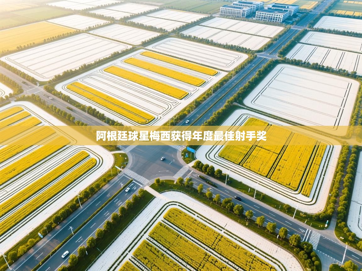 阿根廷球星梅西获得年度最佳射手奖 第2张