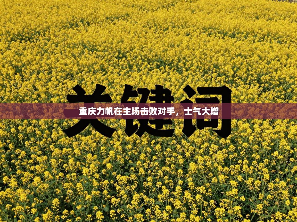 重庆力帆在主场击败对手，士气大增  第2张