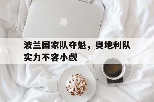 爱游戏官网网页版入口-包含波兰国家队夺魁，奥地利队实力不容小觑的词条