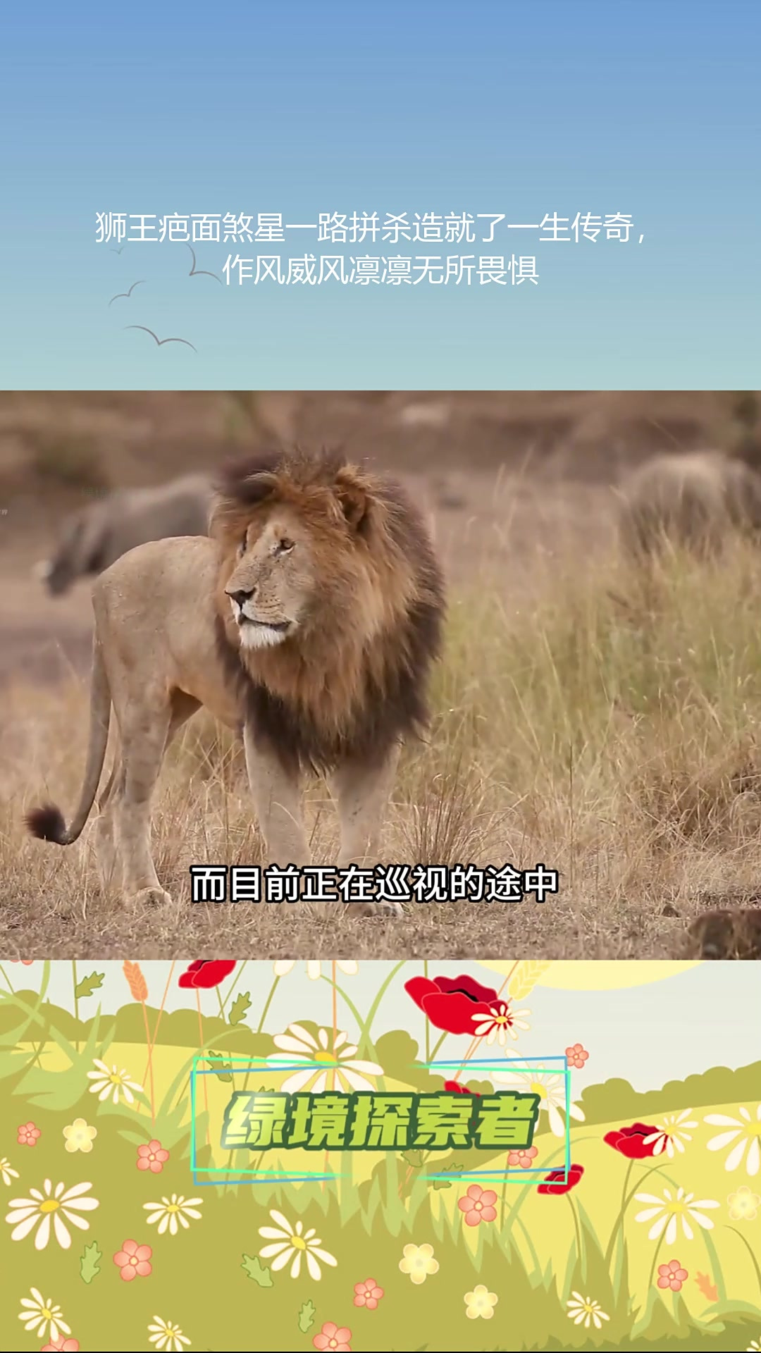 包含荷兰雄狮逆转，传统实力令人刮目相看的词条